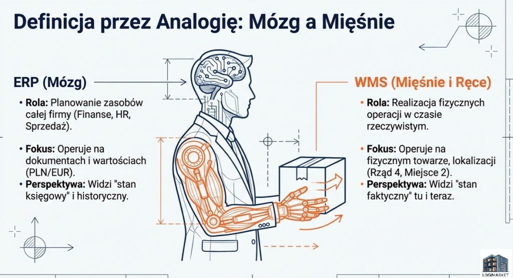Kiedy ERP i Excel przestają wystarczać? Sygnały, że Twoja firma potrzebuje dedykowanego systemu WMS